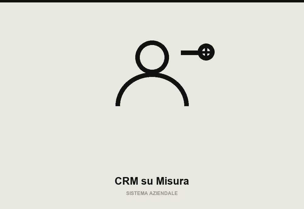 Custom CRM System